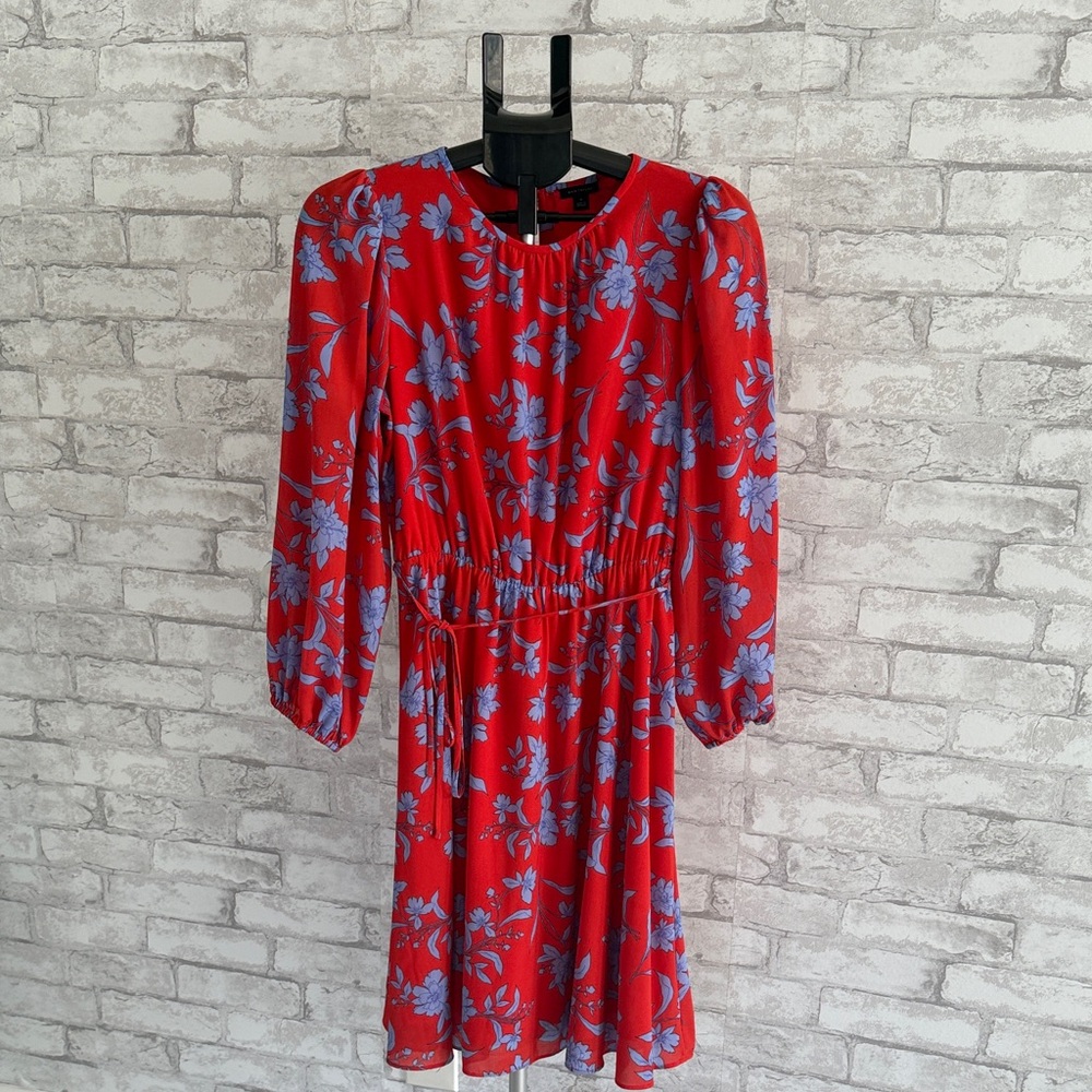 Ann Taylor Red Dress with Blue Floral Design